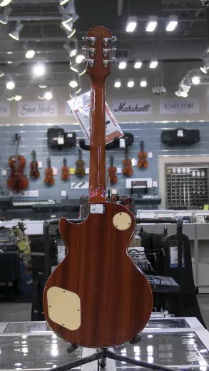 Epiphone - EL59ALBNH 2